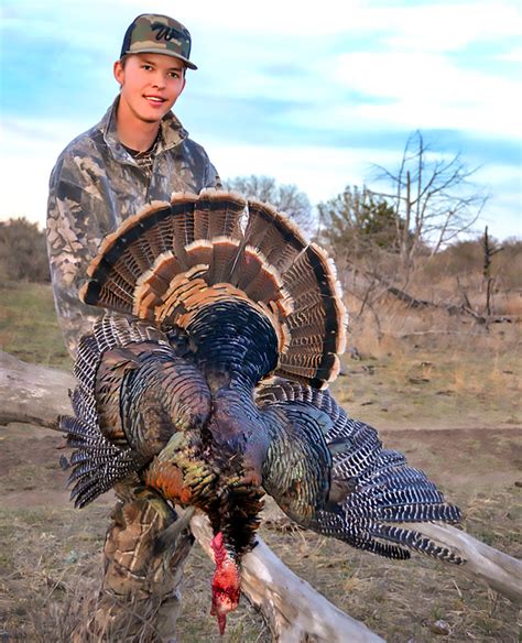 You cannot hunt state forests and state wildlife areas in the same season. . Oklahoma turkey harvest report